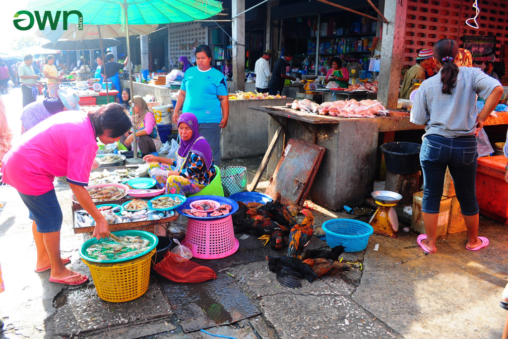 Pak Phayun Market